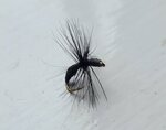 Stillwater Epoxy Black Ant Dry Fly - 1 Dozen