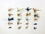 Stillwater Assorted Special Dry Flies x 20