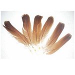 Veniard English Partridge Cinnamon Tails
