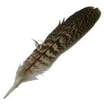 Veniard English Partridge Speckled Tails