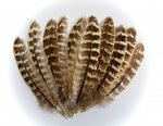 Veniard Hen Pheasant Wing Quills