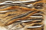 Fly Tying Furs and Hair 4